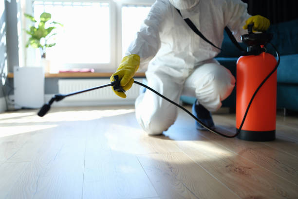 Reliable Blood Cleanup contractor in University Place, WA by Crime Scene Cleaner Online
